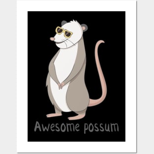 Awesome Possum Funny Possum Posters and Art